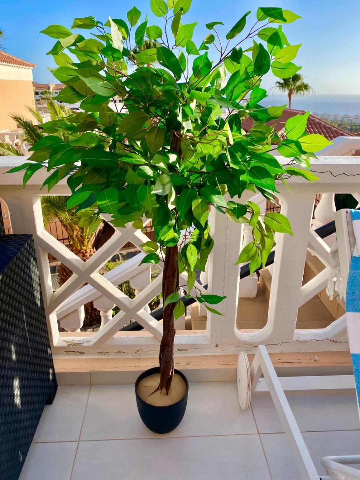 Passione Beautiful Apartment With Sea View アデヘ エクステリア 写真